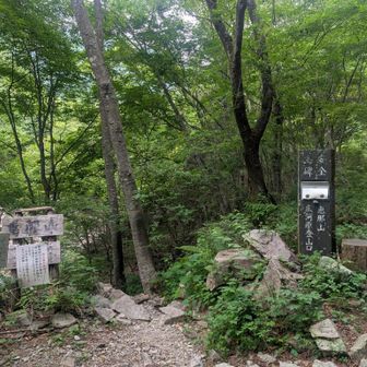 入山