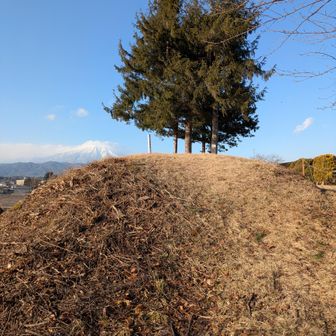 山頂に立つ林と岩手山🗻