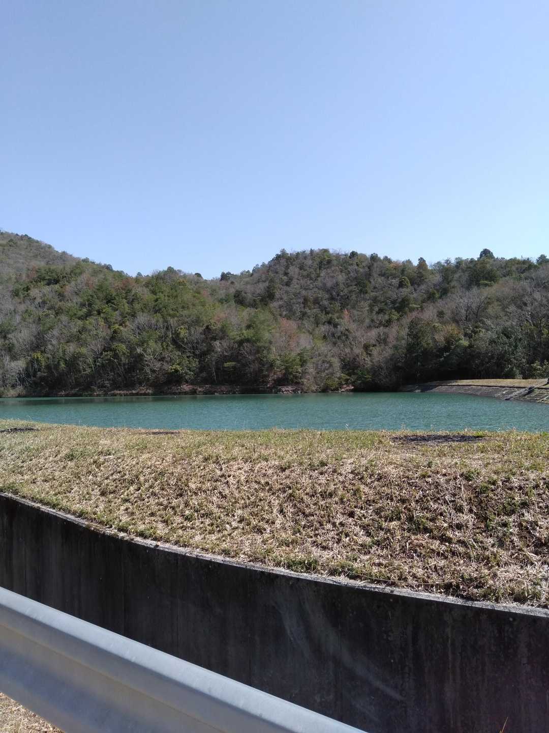 池の周りをぐるっと