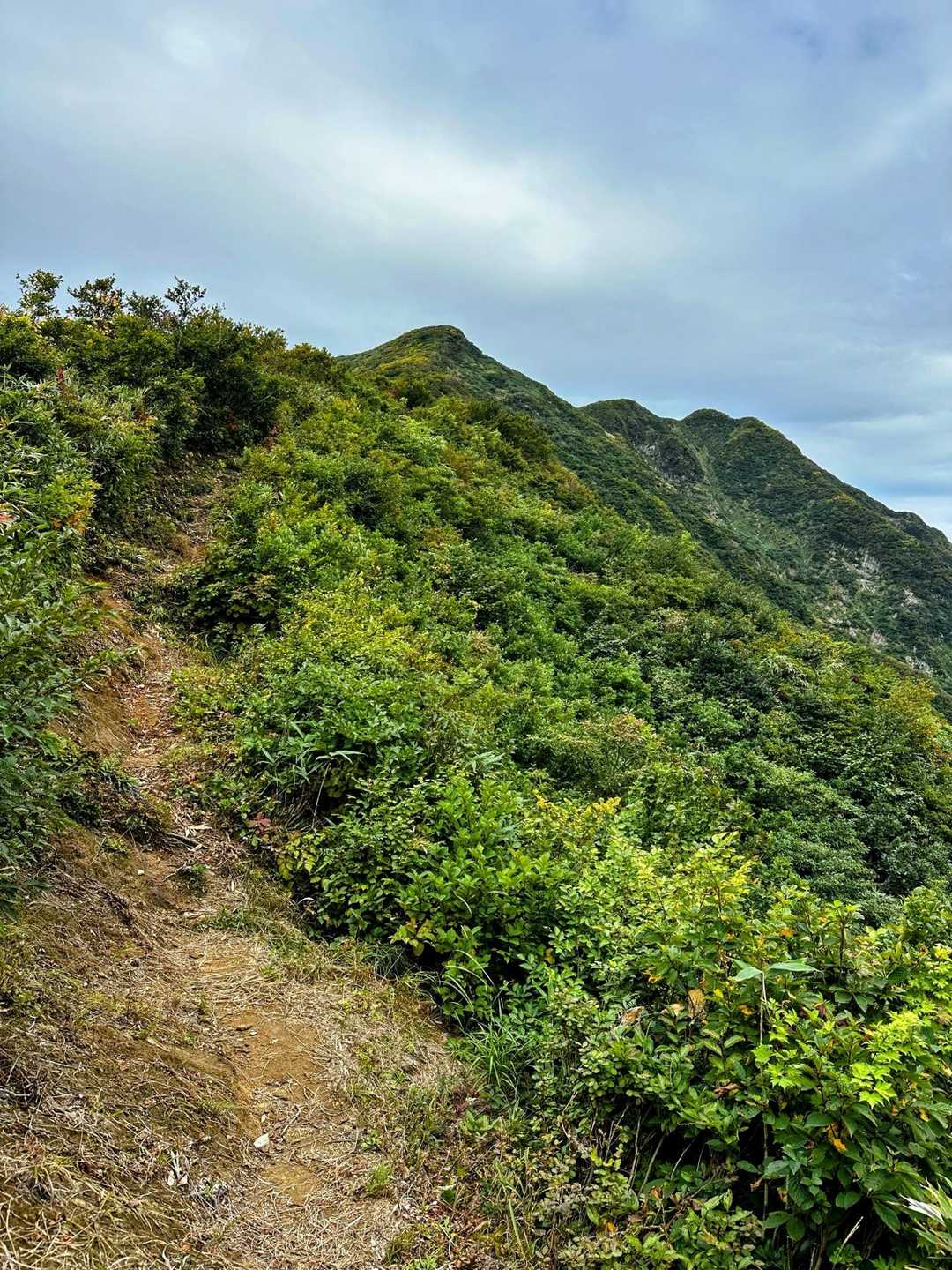 大白川登山口-守門岳 往復コースの写真
