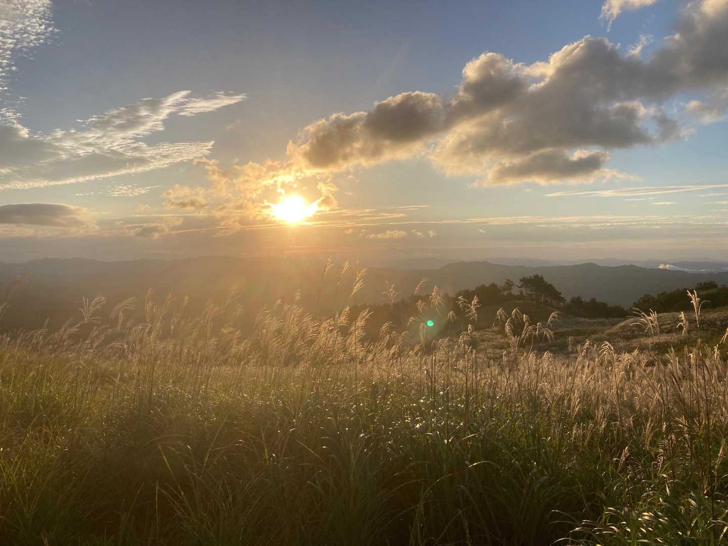 大船山 往復コースの写真