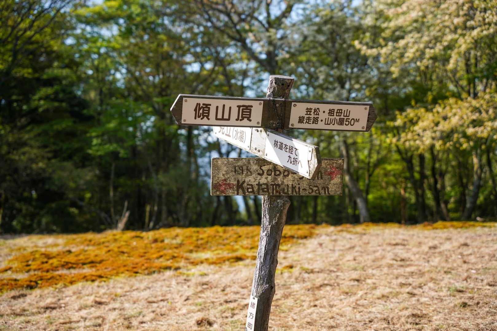 では降ります⤵︎