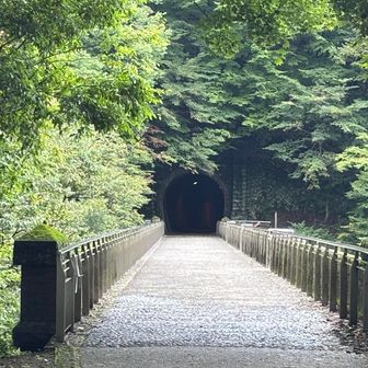 潜って来た横川方面からのトンネル