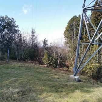 この山頂　平で結構な広さ　大人数でもOK