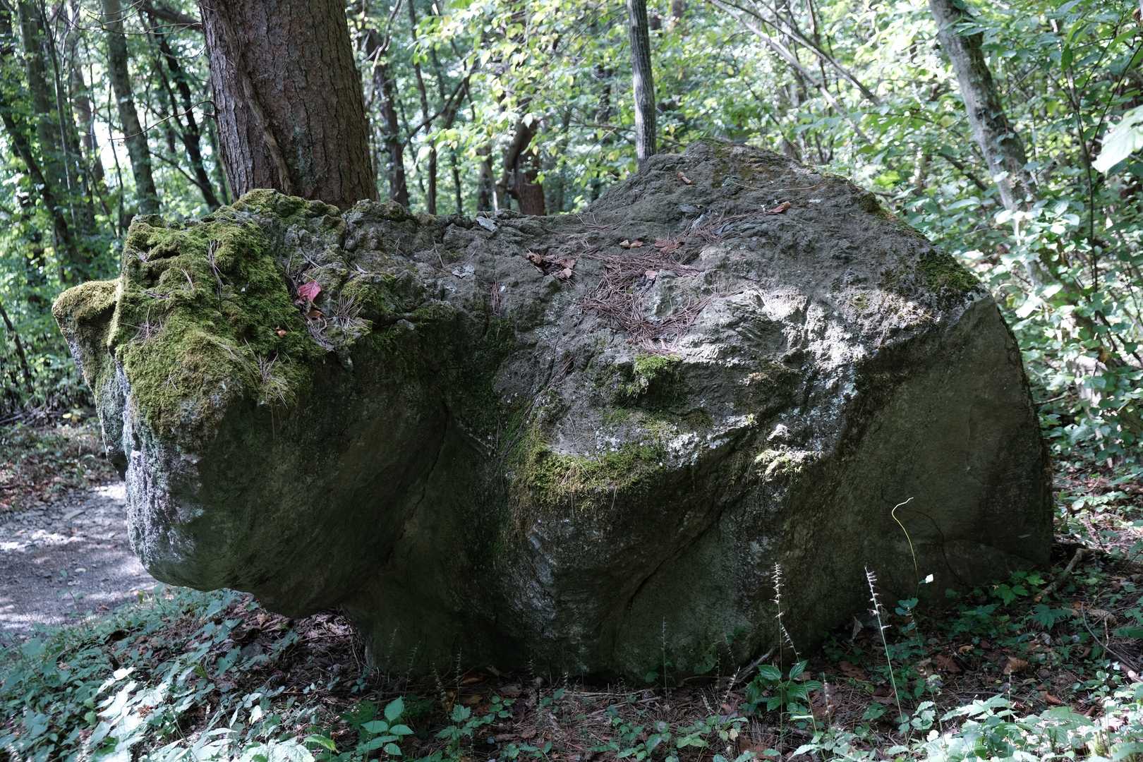 ベごっこ（看板なくなった？）