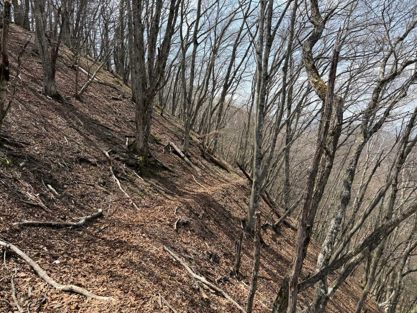 鷹ノ巣山-水根山-城山-六ツ石山-長尾ノ頭 周回コースの写真