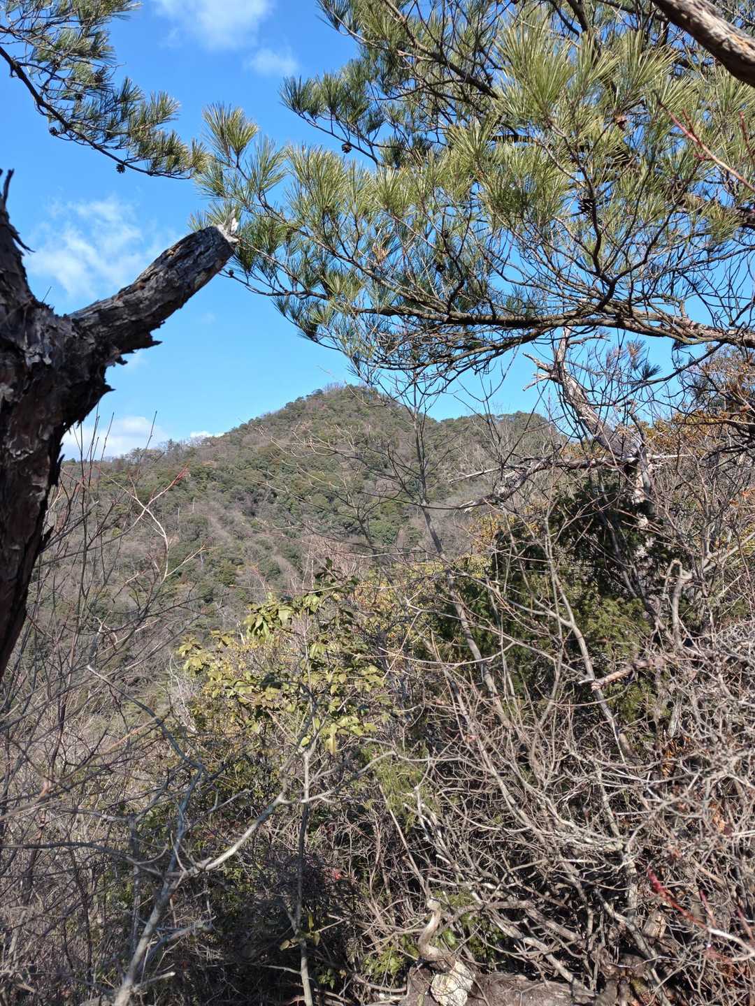 正面の竜門山を目指して！