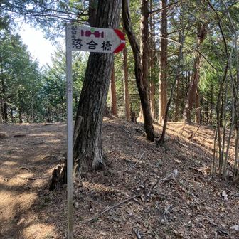 帰りはここまで戻ってきます