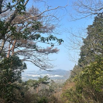 途中のビュースポット✨