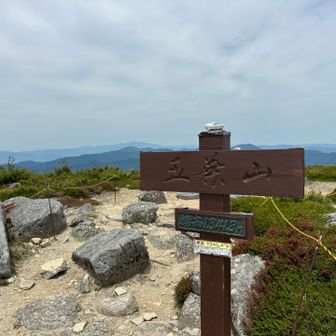 早池峰山をバックに
