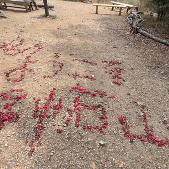 誰かが作ってくれたのかな？綺麗でした。