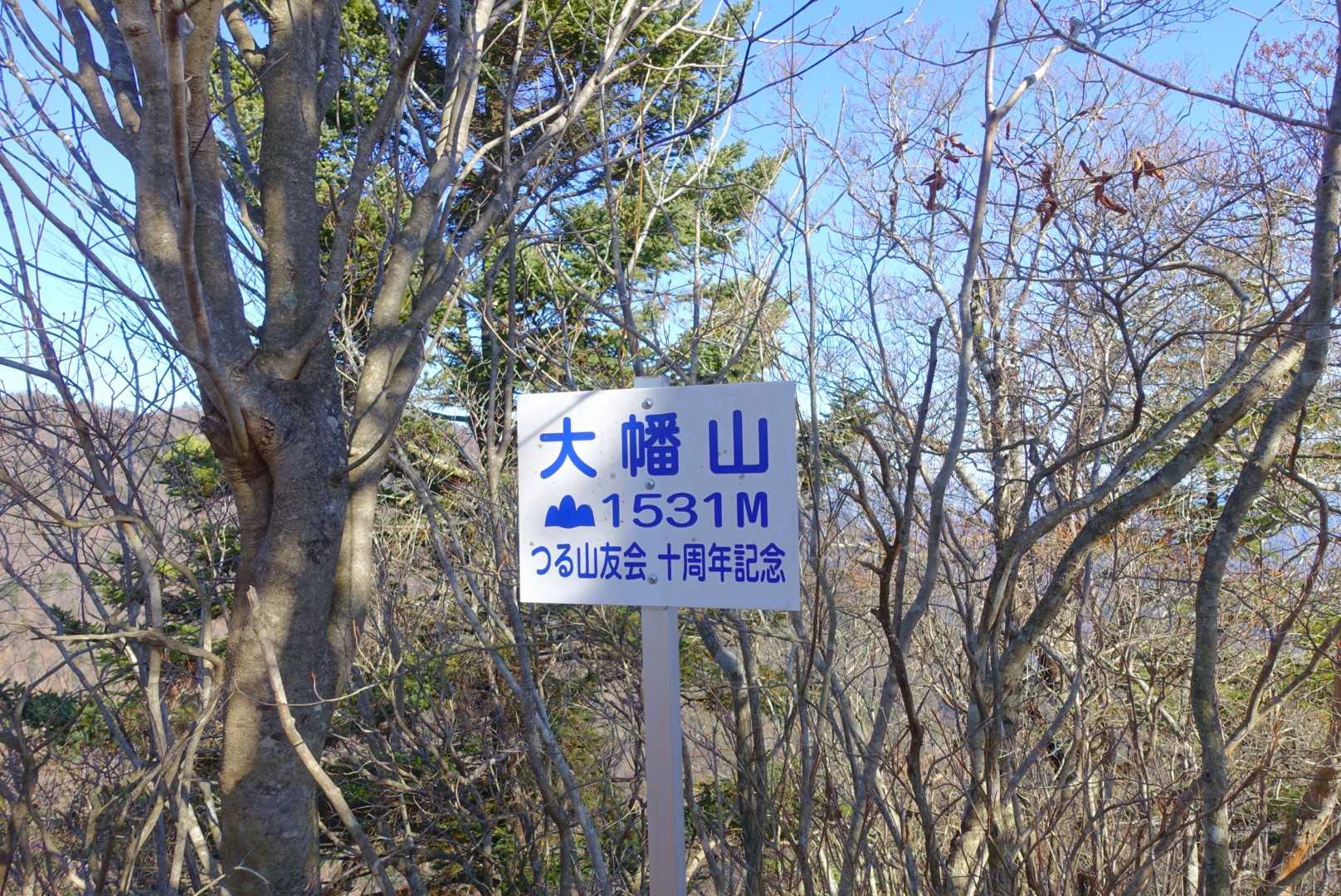 大幡山この辺のピークには特に眺望は有りませんでした。