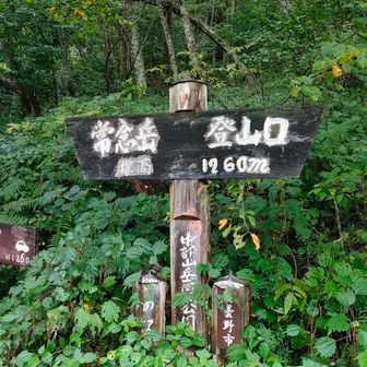 一ノ沢登山口