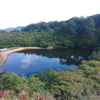 落ち葉から出たタンニンのせいなのか、茶褐色の水
水深は浅いが、深みのあるリフレクションです