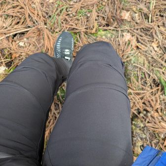 こんなんで痛えのなさけなす