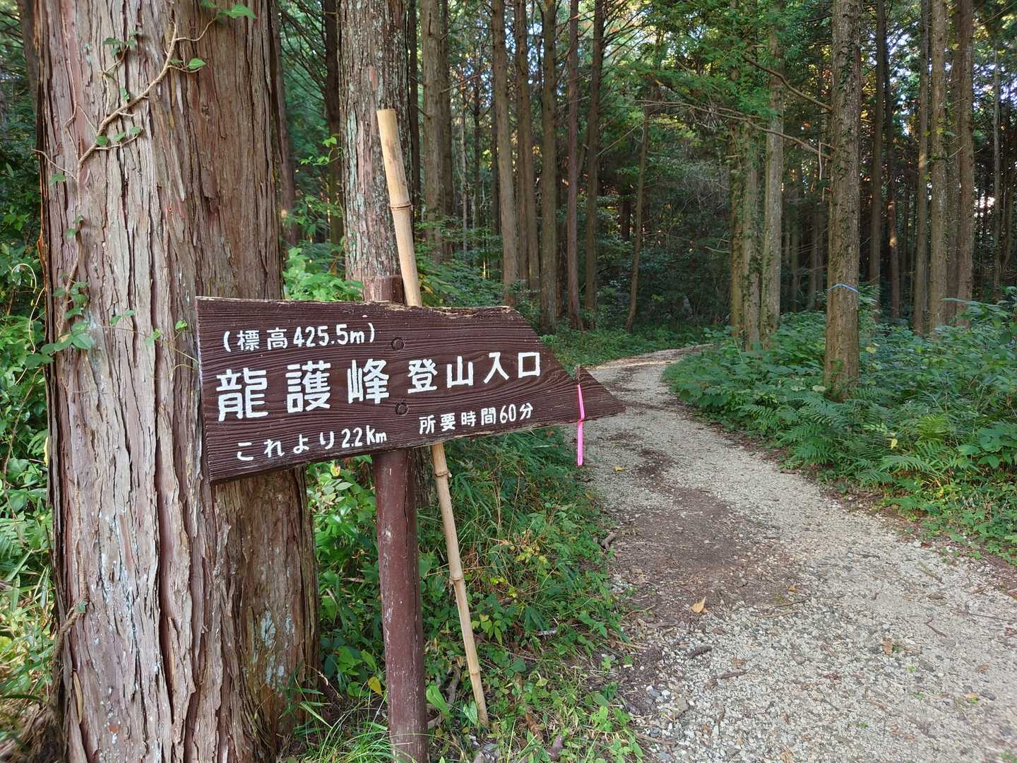 お目当てのお花が見られたので、ずっとスキップで下りました🎵（すみません、ウソです）
秋吉台はいつ来てもいいですね
ありがとうございました🙇⤵️