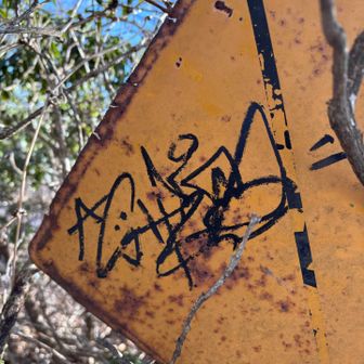 わざわざこんな山の上まで来て落書きする⁉️