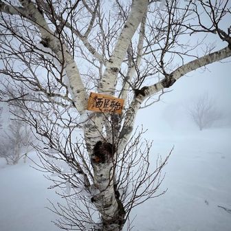 西昆布の山頂標記。