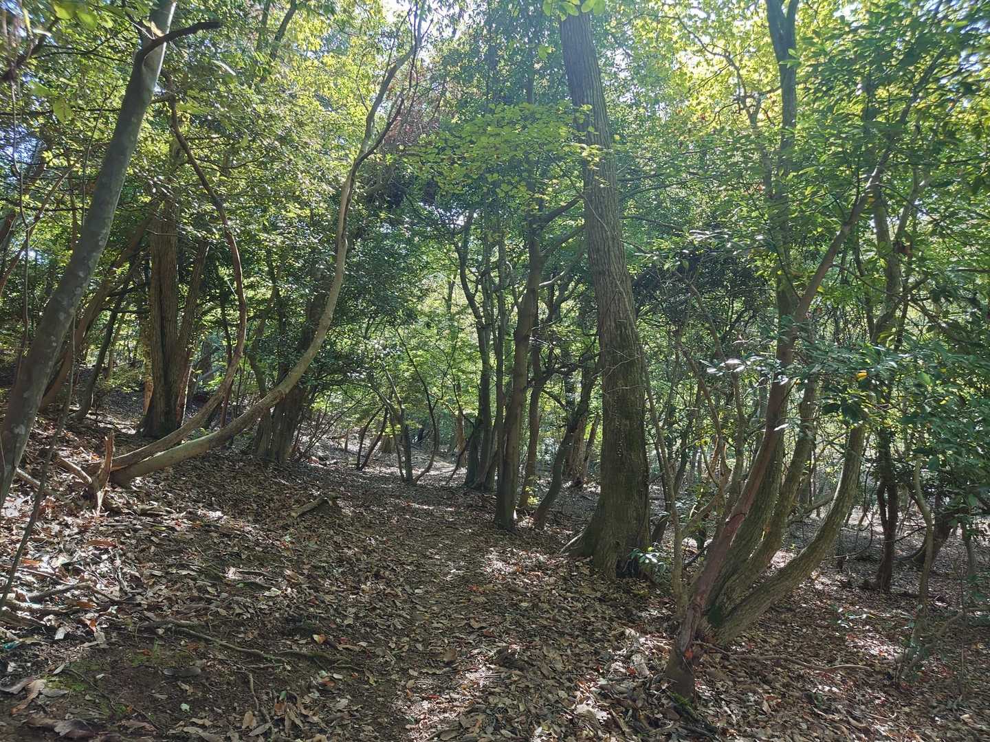 ええ感じ。😊