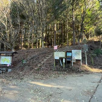 半沢越に一旦下り、ここから再入山。