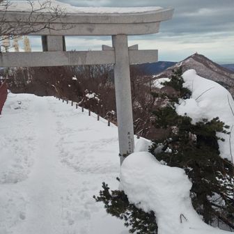 白装束の人が木に覆いかぶさって通行人を驚かせようと待ち伏せしているように見えましたよ