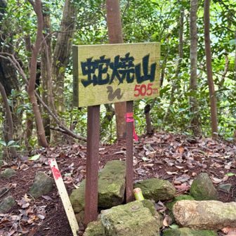 プチピーク