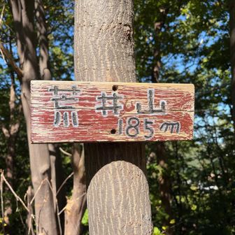 荒井山登って
