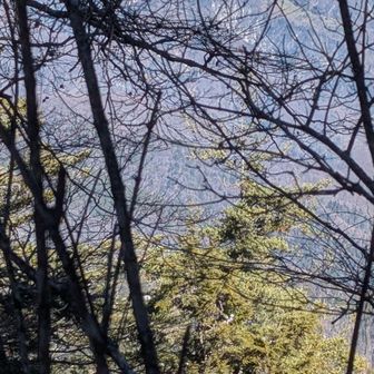 境内 北東に望むは奥念丈？安平路？？