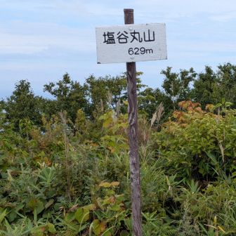 ９時10分に登山届けを記入してから…山頂まで１時間40分❗️
過去、最長時間だけど…
「キャンサーズ」が無事に登頂出来て💧涙が出そうでしたよ😢

💧涙が出る余裕などないほどに山頂には、おびただしい数の羽アリが飛び回っていて、今季初の「防虫ネット」が活躍…
三人で「黄金山以来の🐛羽アリ攻撃だね😆」「いやいや、斜里岳も凄かったけどね」などと…

ほらっ❗️🐍彼女が迎えてくれたし…