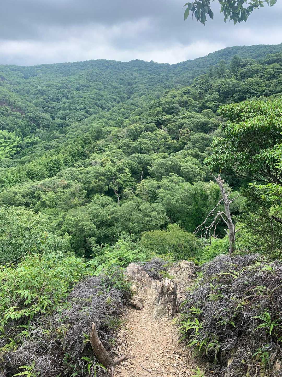 孫茶臼山 往復コースの写真