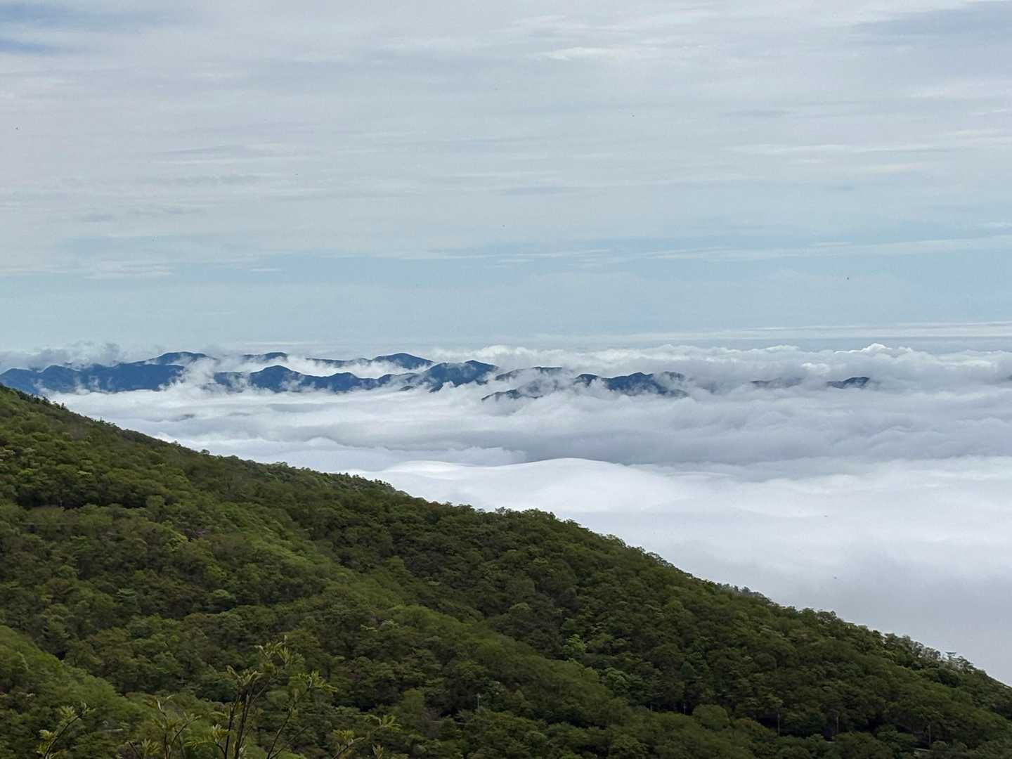 荒山・鍋割山周回 | 満開のツツジのトンネルを抜け、大パノラマの稜線歩きへの写真