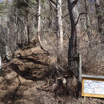 大権首峠に出てくる