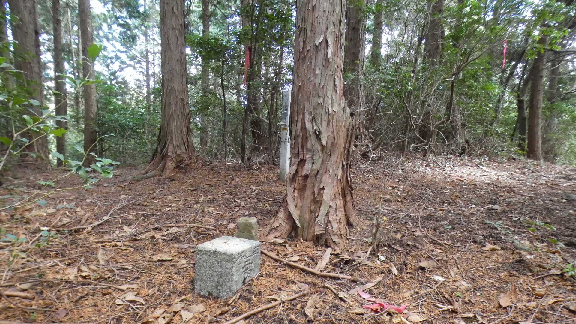 金明山山頂
三等三角点
基準点名：本丸（ほんまる）

眺望なし