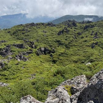 縞枯山方面も岩場だなぁ
