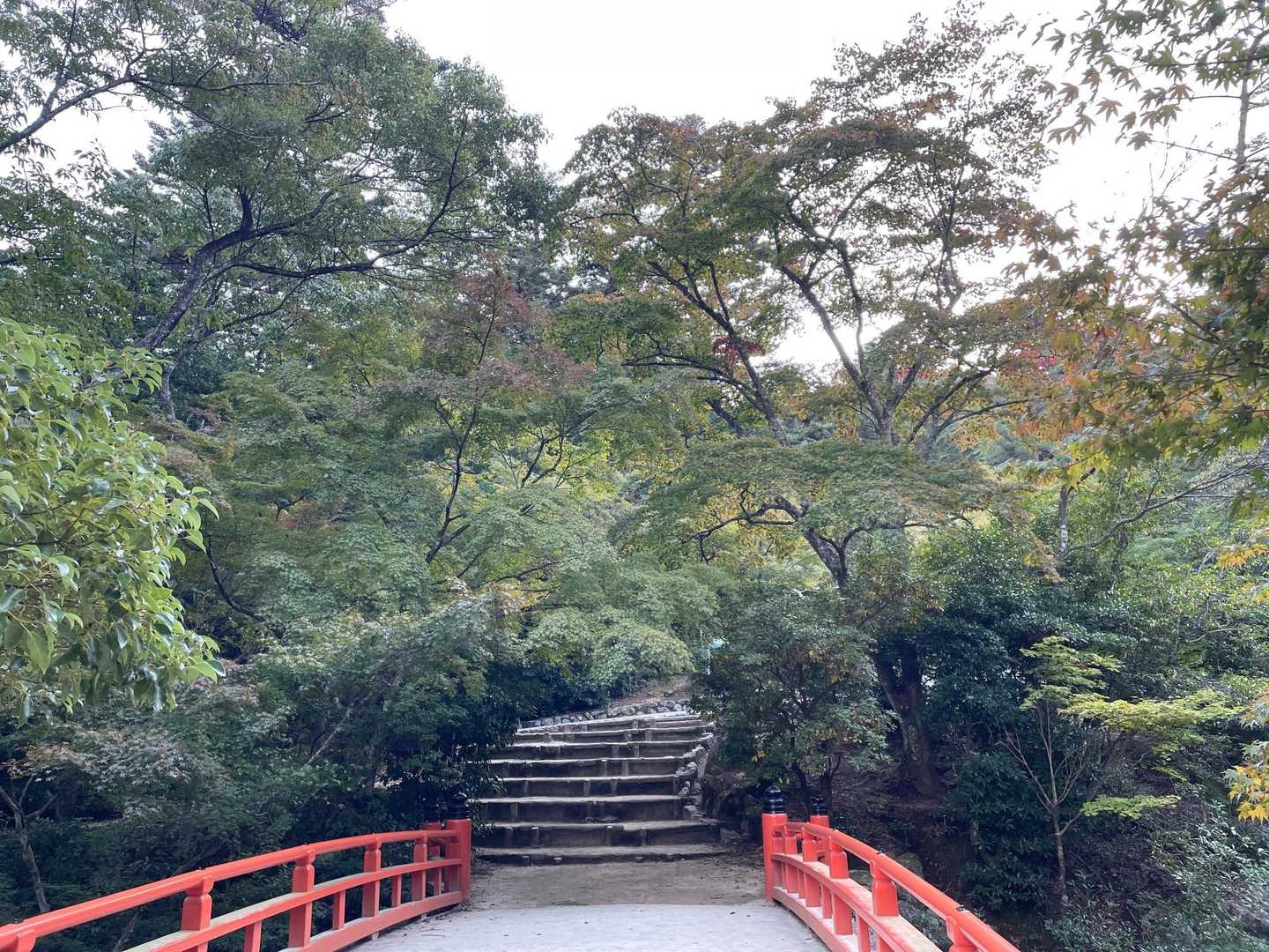 もみじ谷から登ったけど紅葉はまだ先みたいです😅