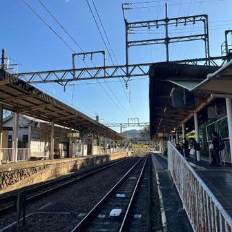 🚃電車ちょうど来たので飛び乗って