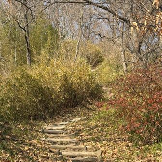 さらに登ります🐾🐾