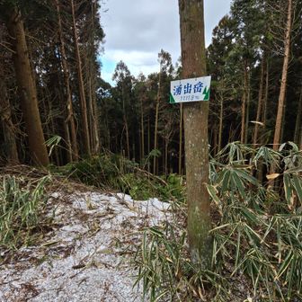 一等三角点本点はここにあります。