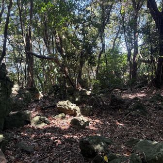深山の山頂全景。これまた眺望無し。