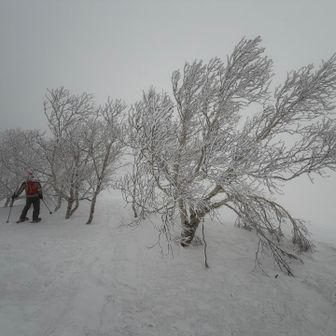 樹氷は綺麗だけど...
天気が荒れて来た。。。