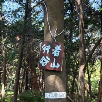 文字がちょっとホラー