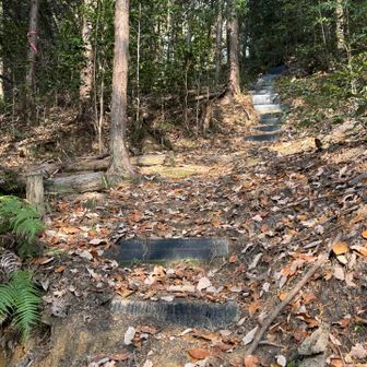 階段が見えて一安心ε-(´∀｀;)ﾎｯ