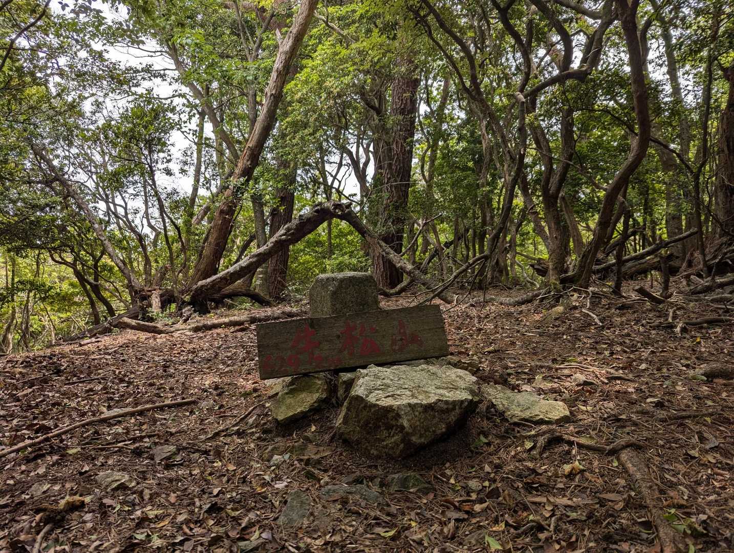 牛松山