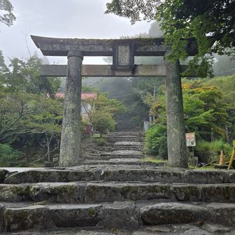 表参道