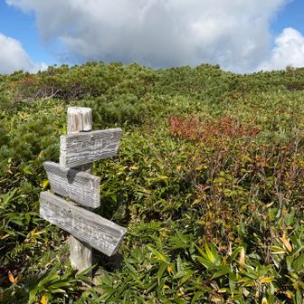 次の分岐看板は何書かれてるかわからないけど1番上は幌別岳方向を指してました。

ヤマレコではここがピークになってますがYAMAPではこの先なので、１００mルールが夕張岳で失敗したので行けるところまで行ってみます‼️💪