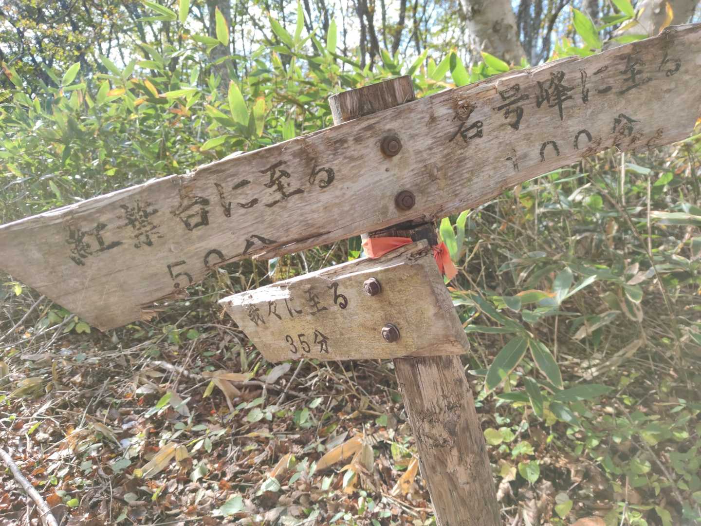 分岐点
ちょっと遠回りだけど時間もあるし、
もう少し紅葉🍁楽しもう❗
紅葉台方面へ行ってみるよ😆