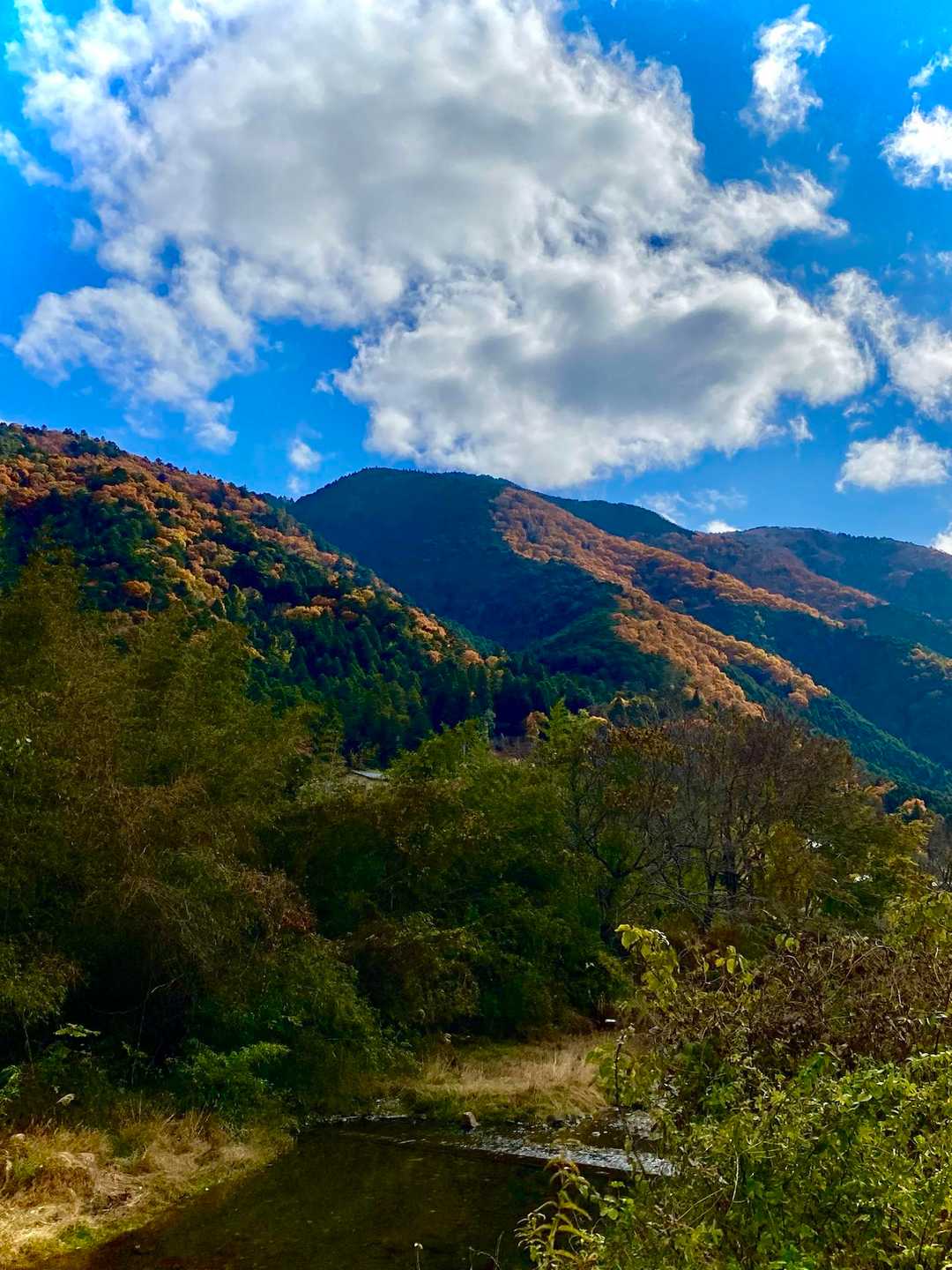 戸寺バス停-金毘羅山-翠黛山-大原バス停 縦走コースの写真