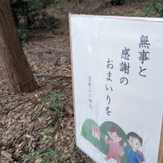 タマゴタケ🥚ファンに場所教えます😊
ここの看板は山口神社です✨💁‍♀️
左側⇦木の根元に有ります🤭🙋