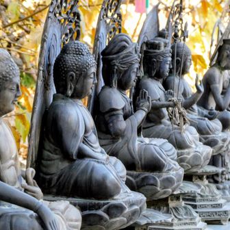 珍しい十三仏さまに感謝🙏