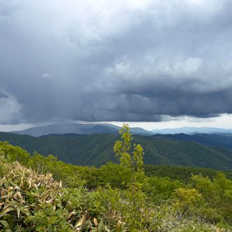 五葉山方面から雷雲が近づいてきました
実はレンゲツツジあたりから雷が鳴っていてビビりながら登りました
なので雷が近いので山頂では長居はせず
